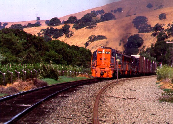 WP2005sm.gif (166620 bytes)